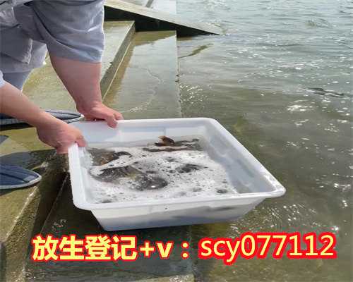 天津允许放生的水域有哪些鱼类，天津市大悲禅院隆