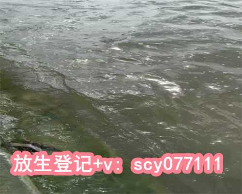 北京适合放生鱼的公园排名，北京花鸟鱼批发？